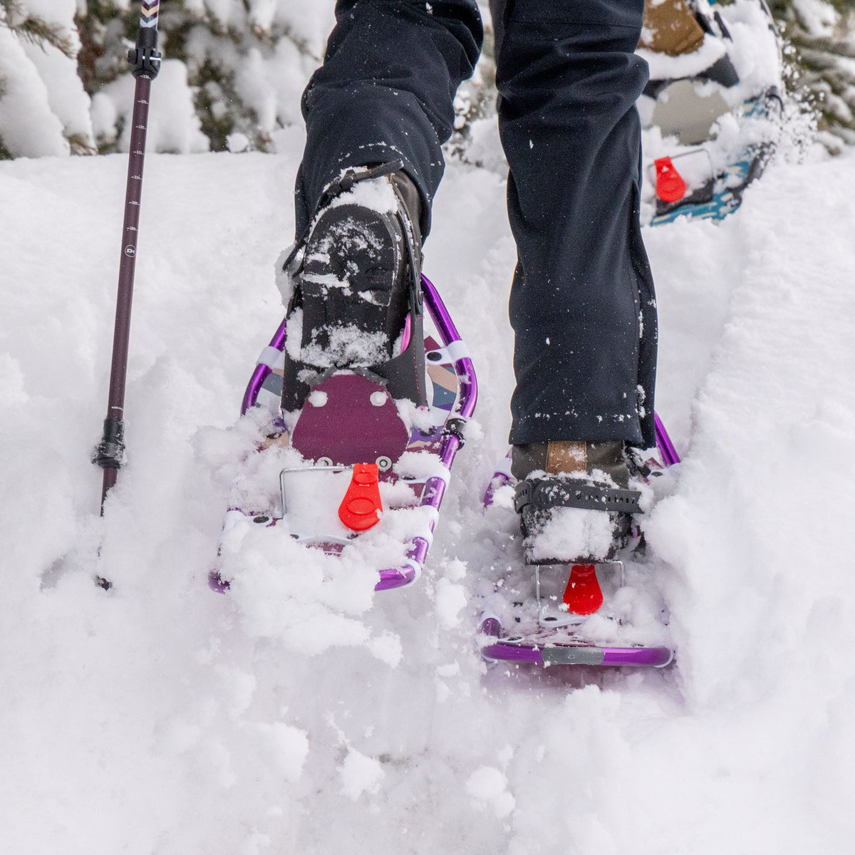 Dakine Lolo Pass Series Women's Snowshoe Kit - Dewberry