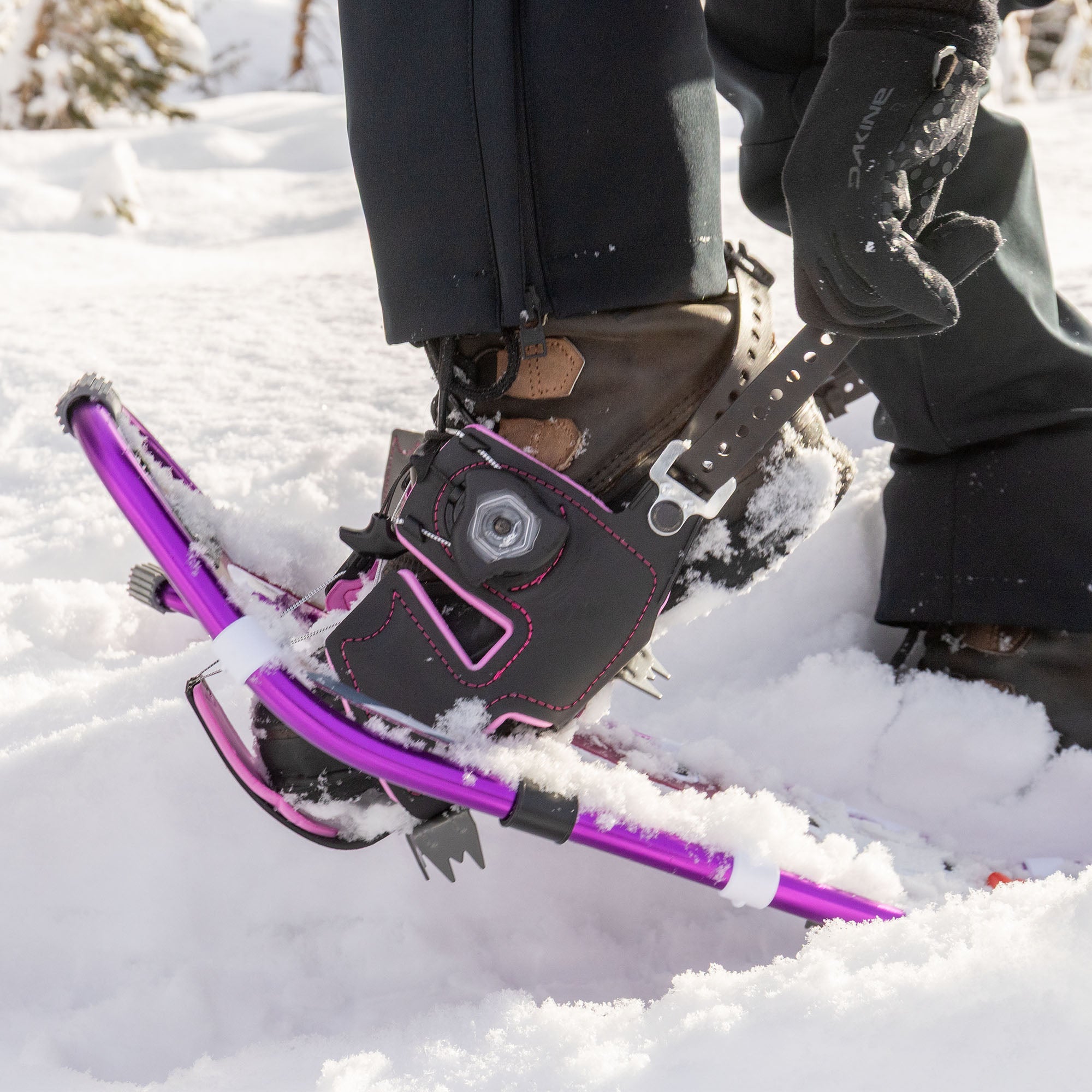 Dakine Lolo Pass Series Women's Snowshoe Kit - Dewberry