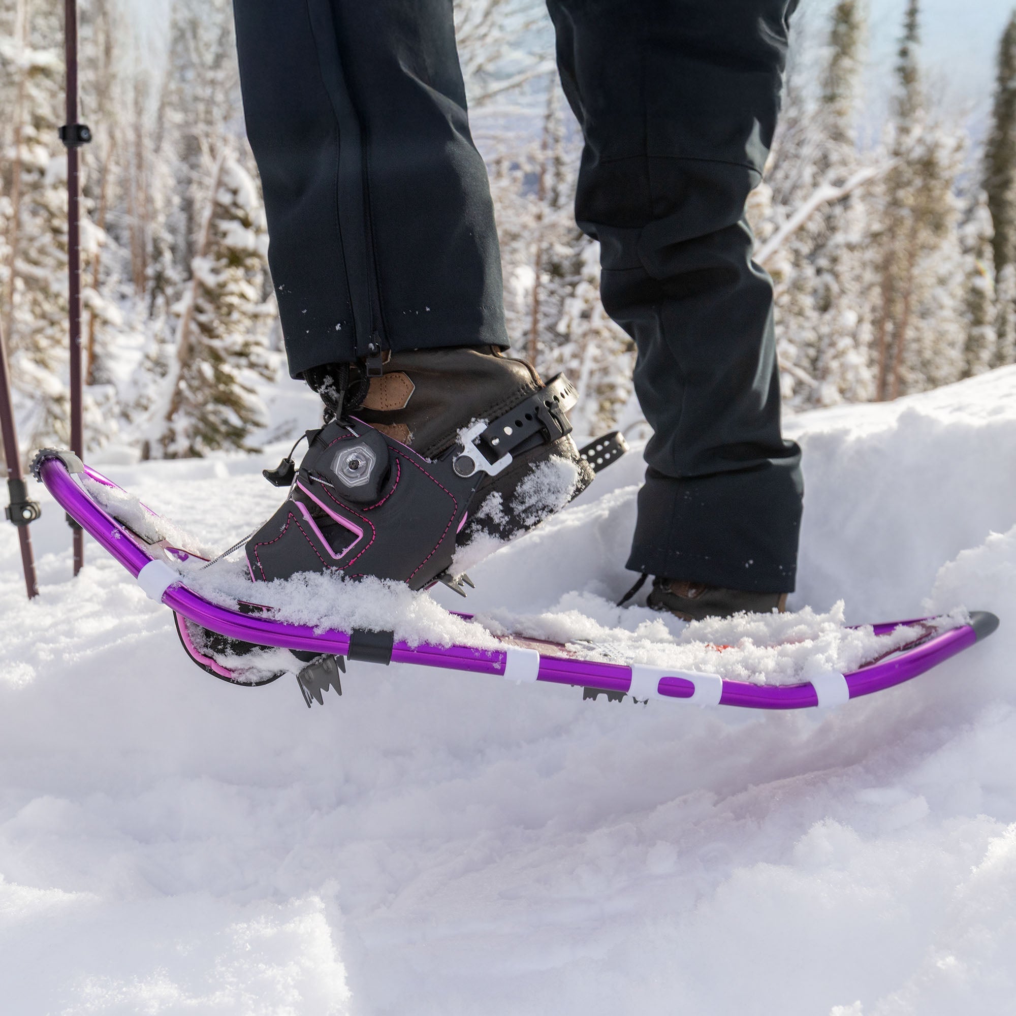 Dakine Lolo Pass Series Women's Snowshoe Kit - Dewberry
