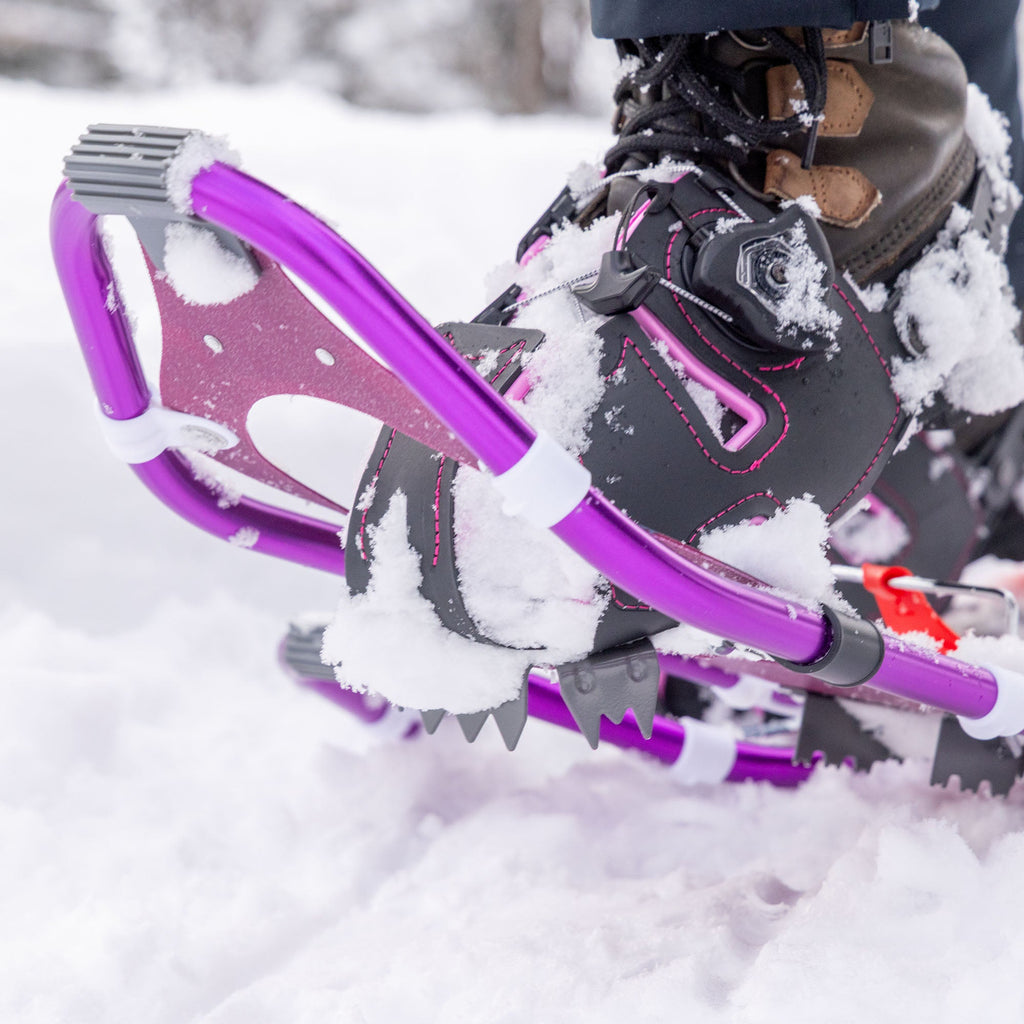 Dakine Lolo Pass Series Women's Snowshoe Kit - Dewberry