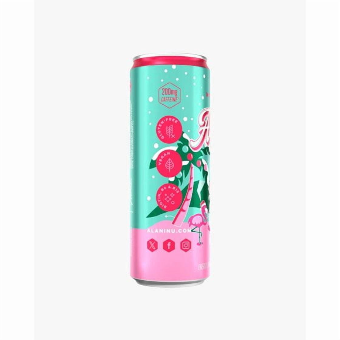 Winter Wonderland Energy Drink – Limited Edition, 12 fl oz 06-Pack
