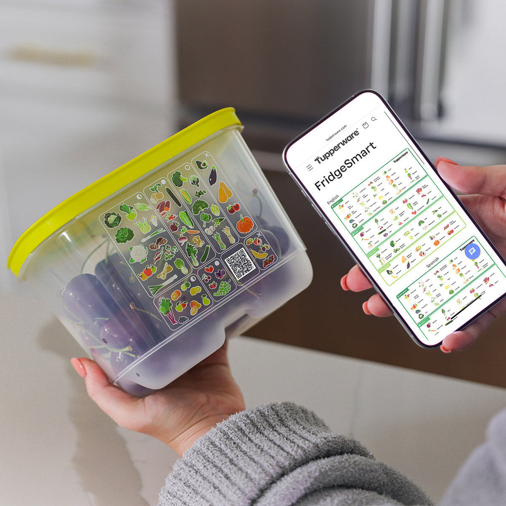 FridgeSmart? Small Deep
