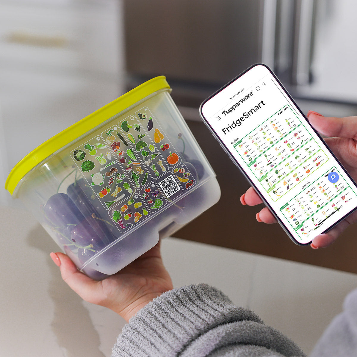 FridgeSmart? Small Deep
