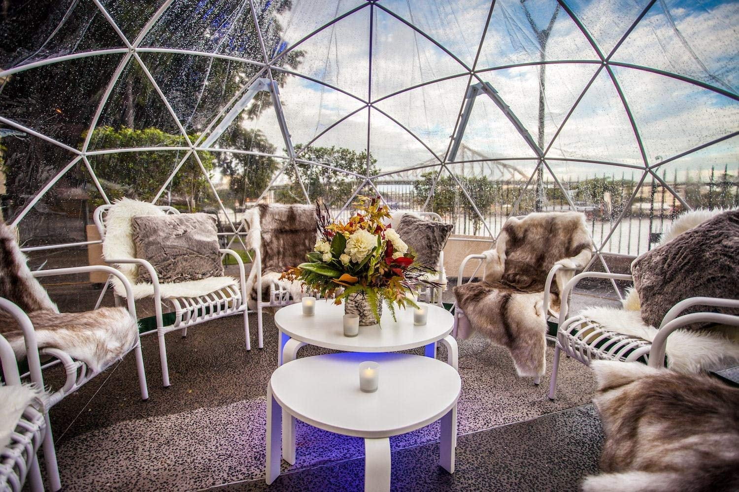 12' Walk-In Garden Dome