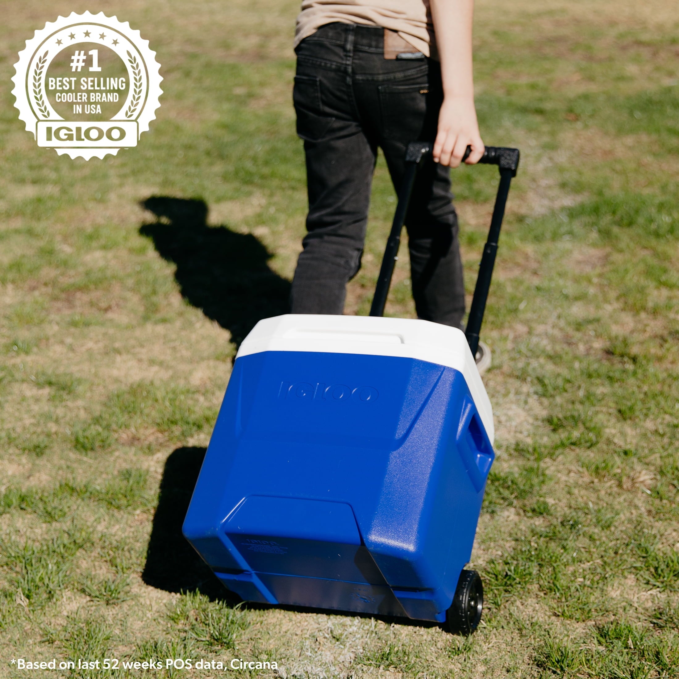16 QT Laguna Hard Sided Ice Chest Cooler with Wheels, Aqua Blue