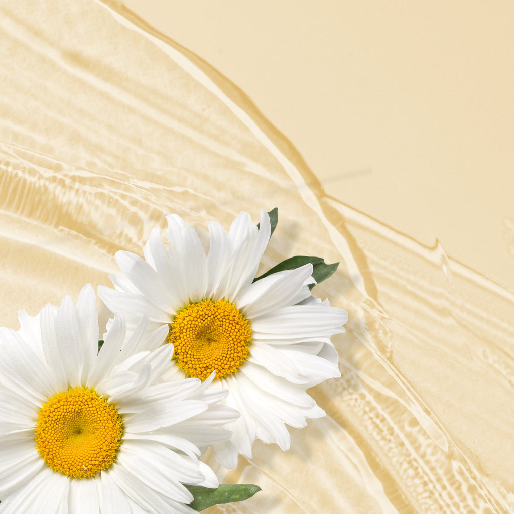 Shine Shampoo, Chamomile, For 13.5 fl oz