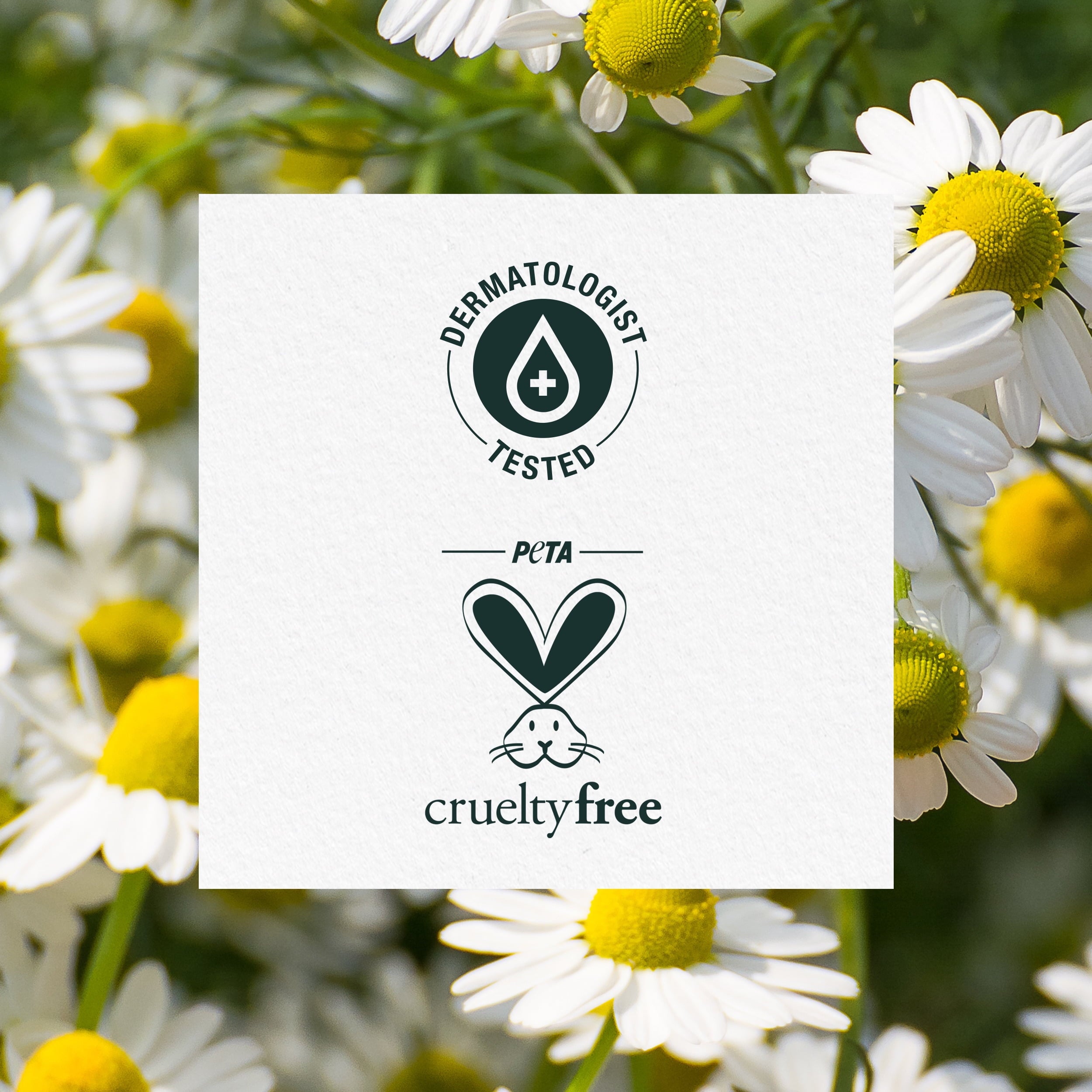 Shine Shampoo, Chamomile, For 13.5 fl oz