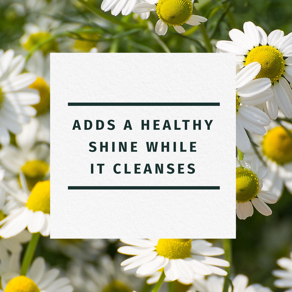 Shine Shampoo, Chamomile, For 13.5 fl oz