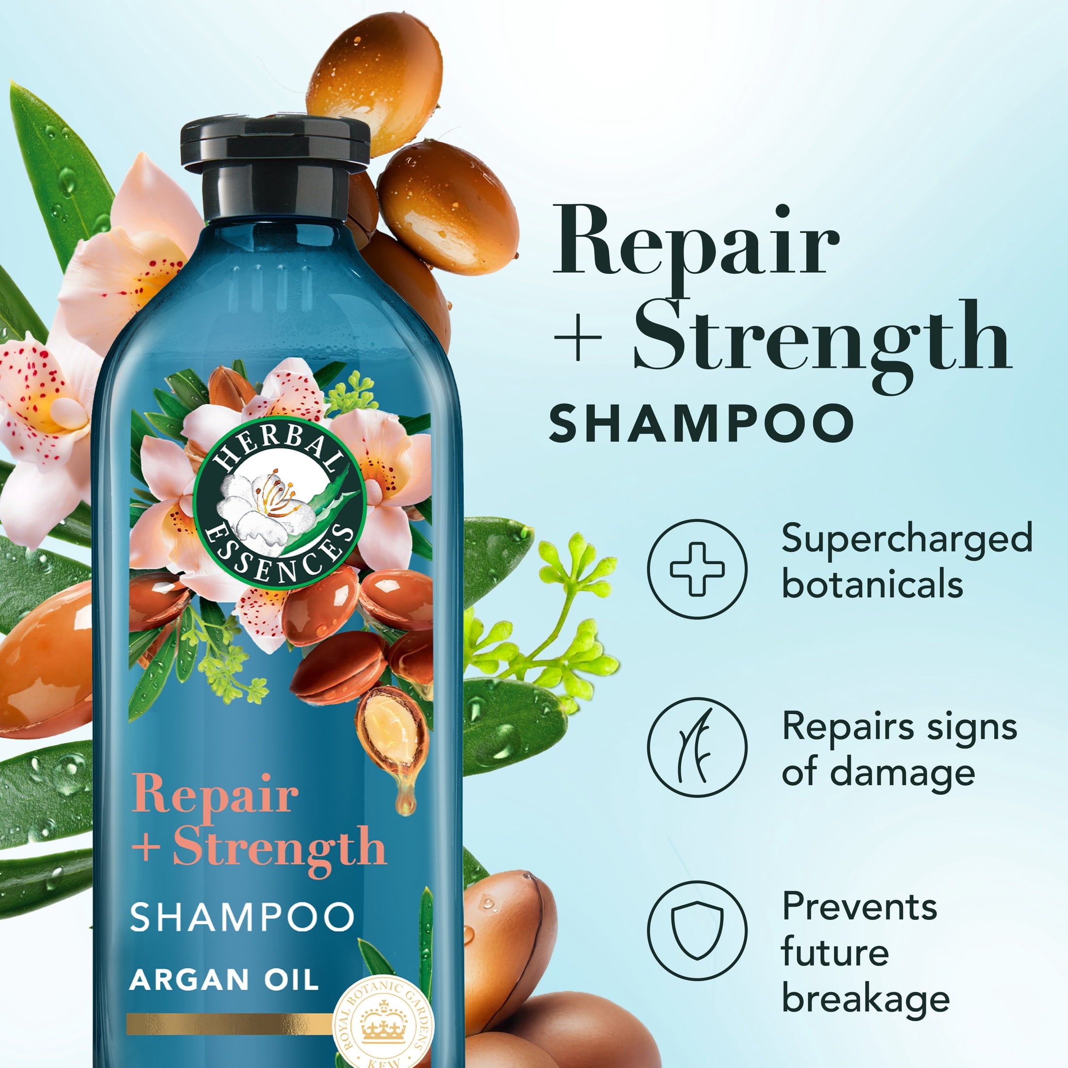 Repair + Strength Argan Oil Shampoo, Paraben-Free, 13.5 fl oz
