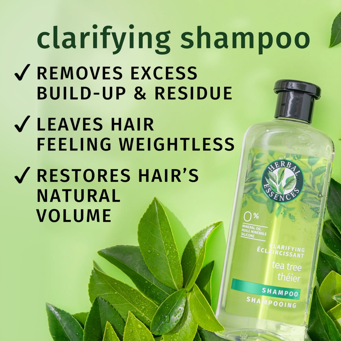 Classics Clarifying Tea Tree Shampoo 13.5 fl oz