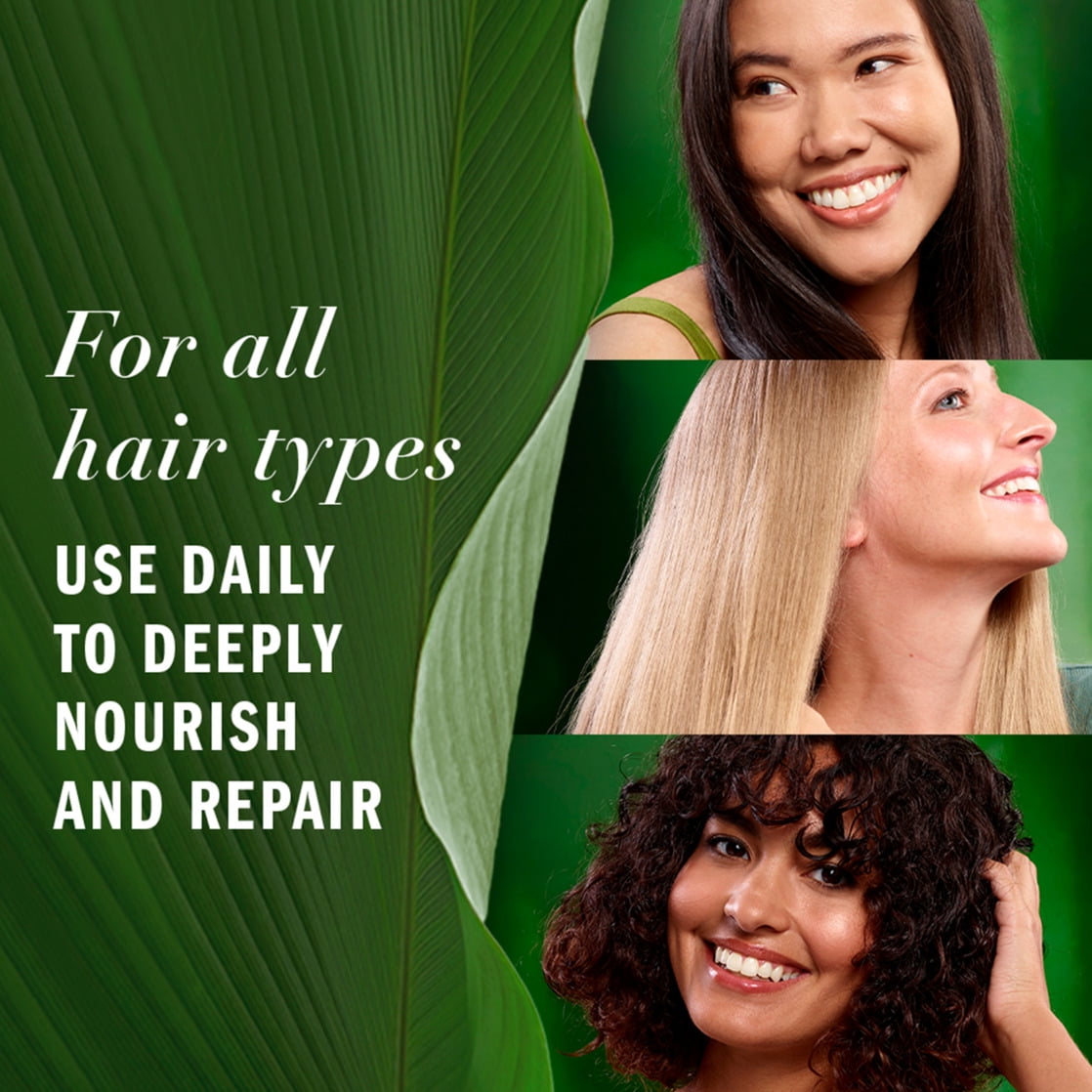 Leave in Conditioner, Aloe and Camellia Flower Oil, Certified Pure Plants, 7.6 fl oz