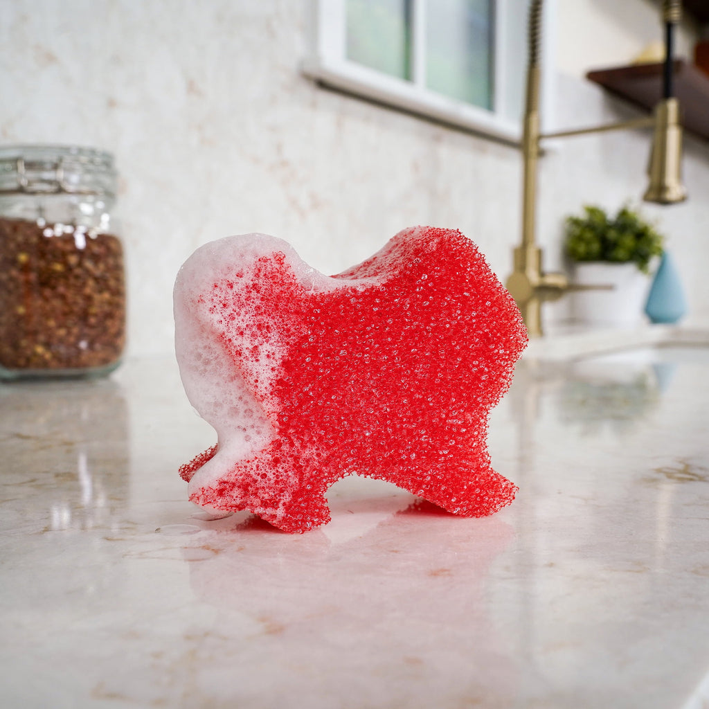 Texas Non-Scratch Cleaning Sponge
