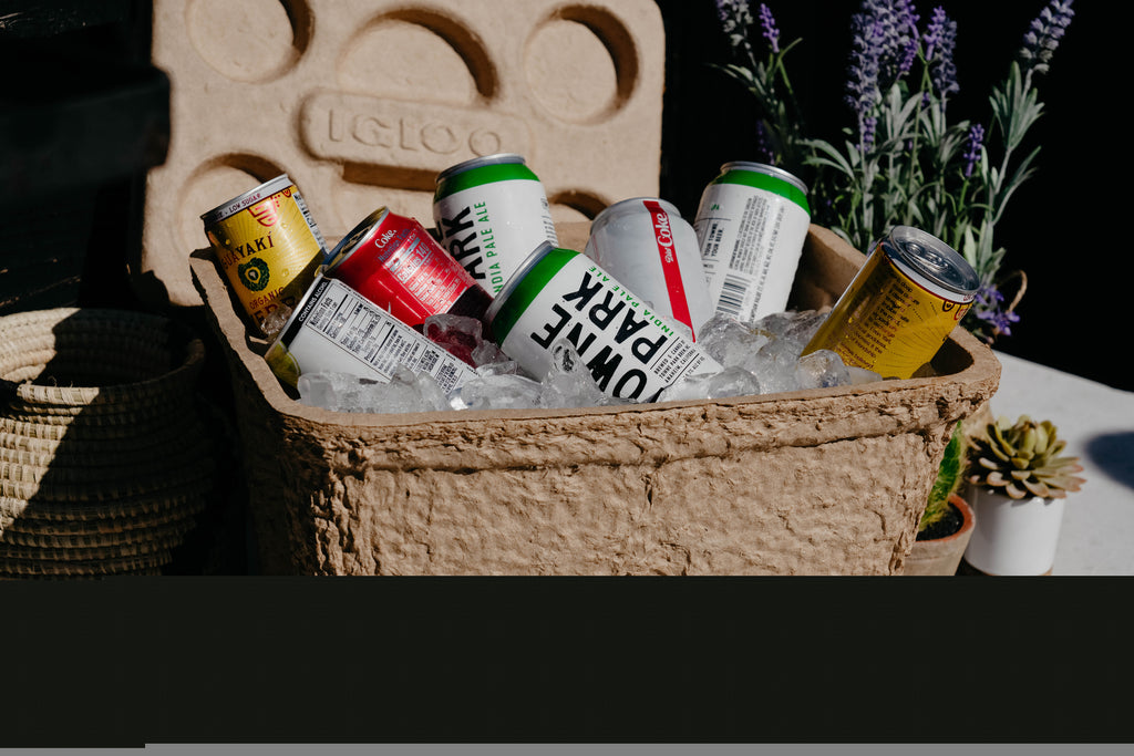 16 Qt. RECOOL Reusable Ice Chest Cooler