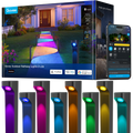 Outdoor Pathway Lights 2 Lite，8pack