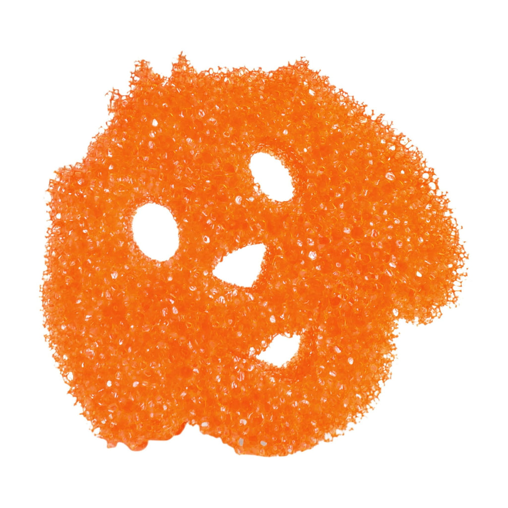 Special Edition Dog Non-Scratch Cleaning Sponge