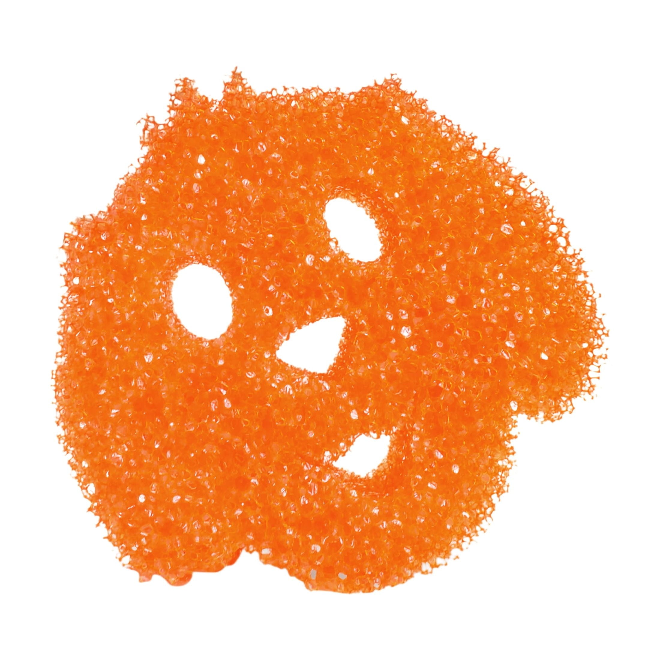 Special Edition Dog Non-Scratch Cleaning Sponge