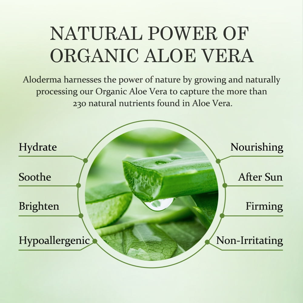 Age-Defying 24K Gold Leaf Aloe Flower Essence Gel, Made within 12 Hours of Harvest - Luxurious Aloe Gel with Allantoin &amp; Hyaluronic Acid for a Glowing, Shimmering, Youthful Complexion, 7oz