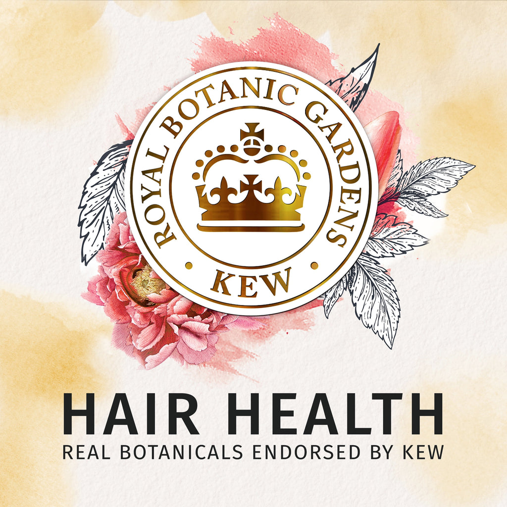 Bio:Renew Honey Shampoo Conditioner Set, 12-13.5 oz