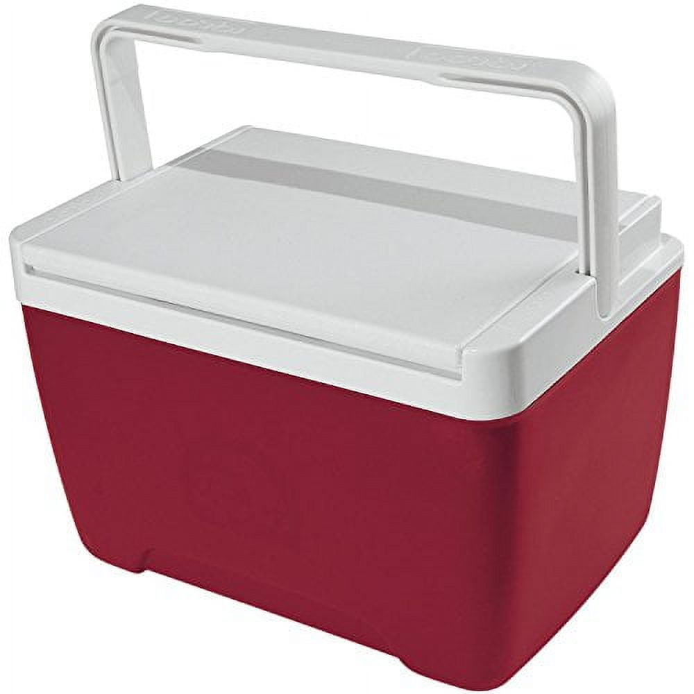 9-Quart Cooler
