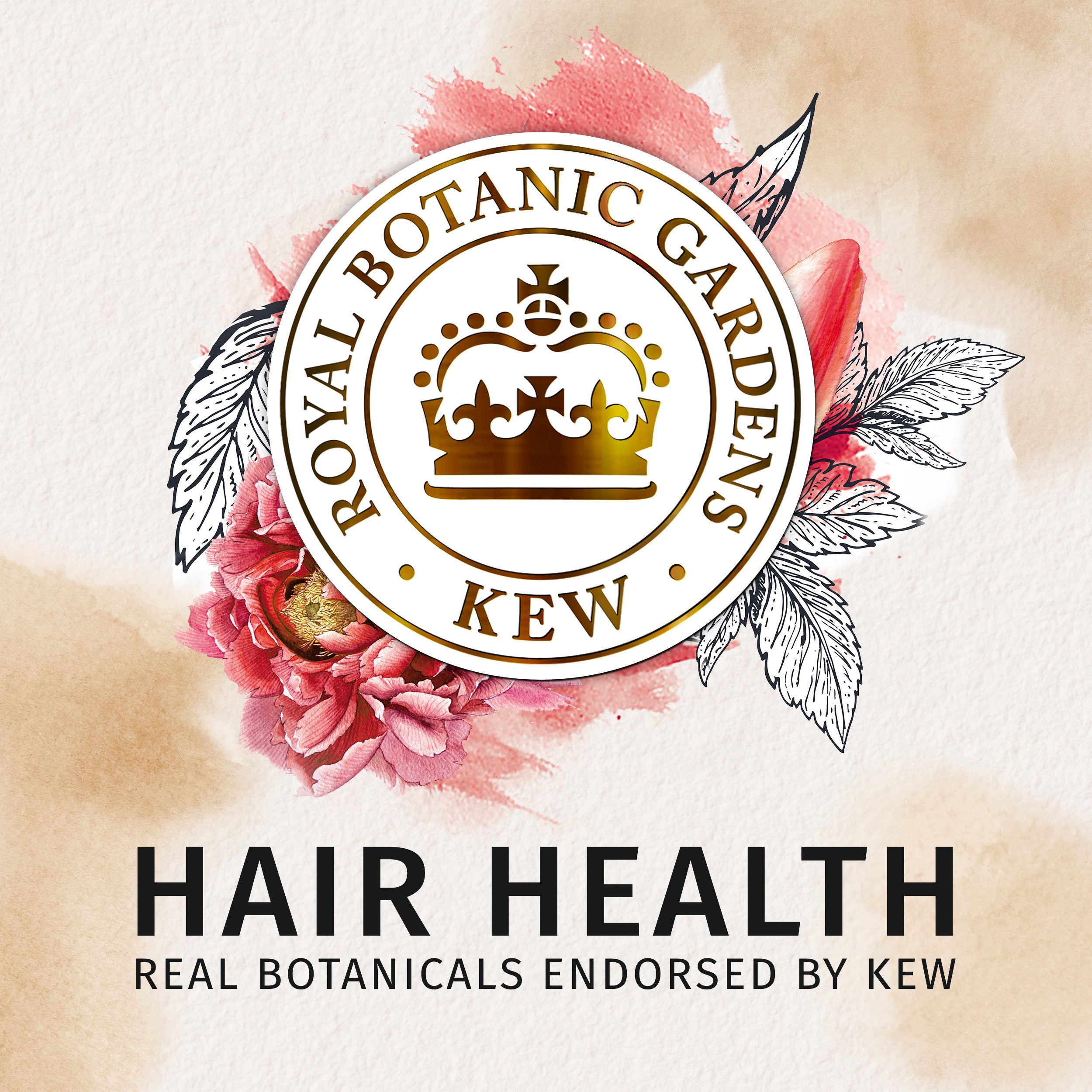 Coconut Oil Hydrating Shampoo, 13.5 fl oz