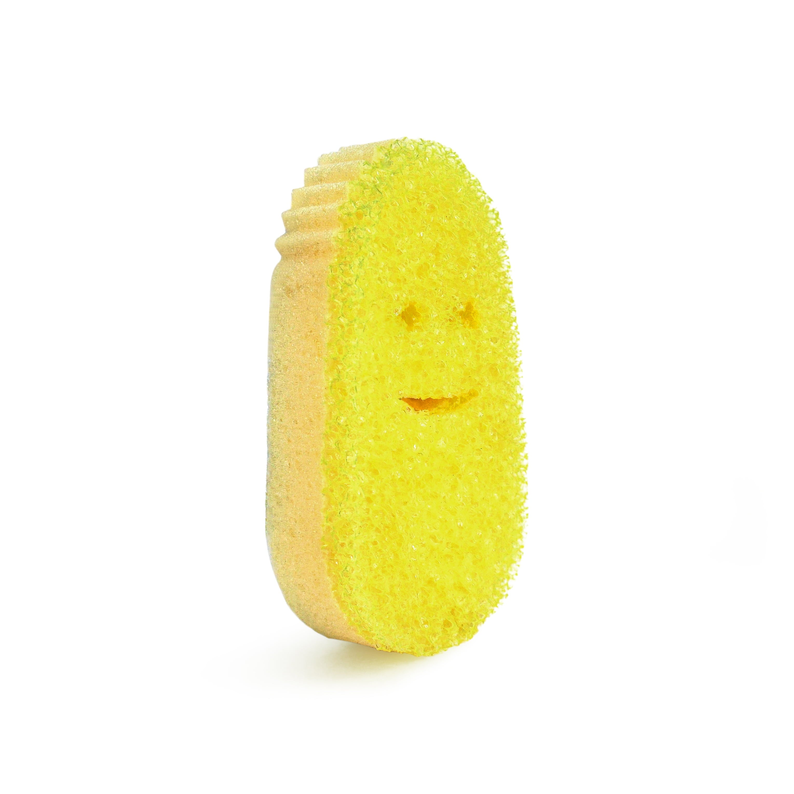 Dish Daddy Refill 2pk Sponge - 2 Ct, Flextexture Foam