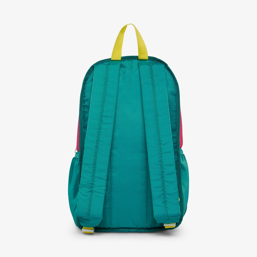 Igloo 20 can Retro Backpack Water Cooler, Pink and Jade Green