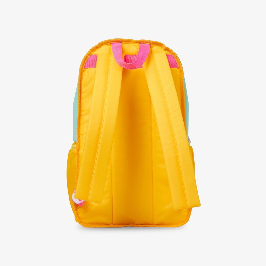 Igloo 20 can Retro Backpack Water Cooler, Pink and Jade Green