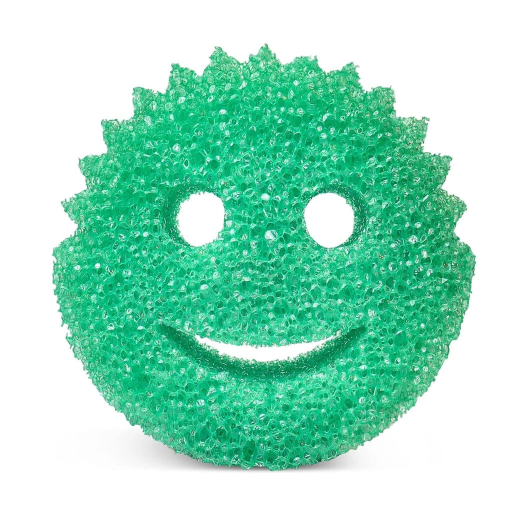 Sponges, Multiple Colors (6 Count)