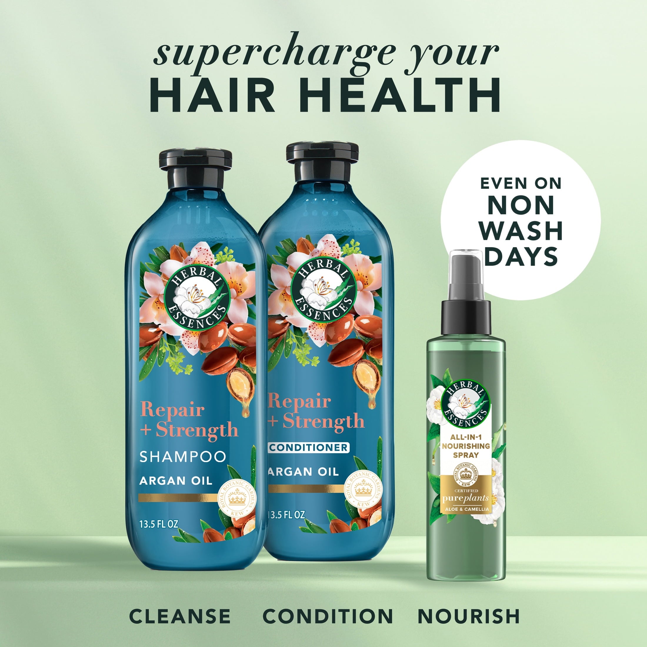 Repair + Strength Argan Oil Conditioner, Paraben-Free, 13.5 fl oz