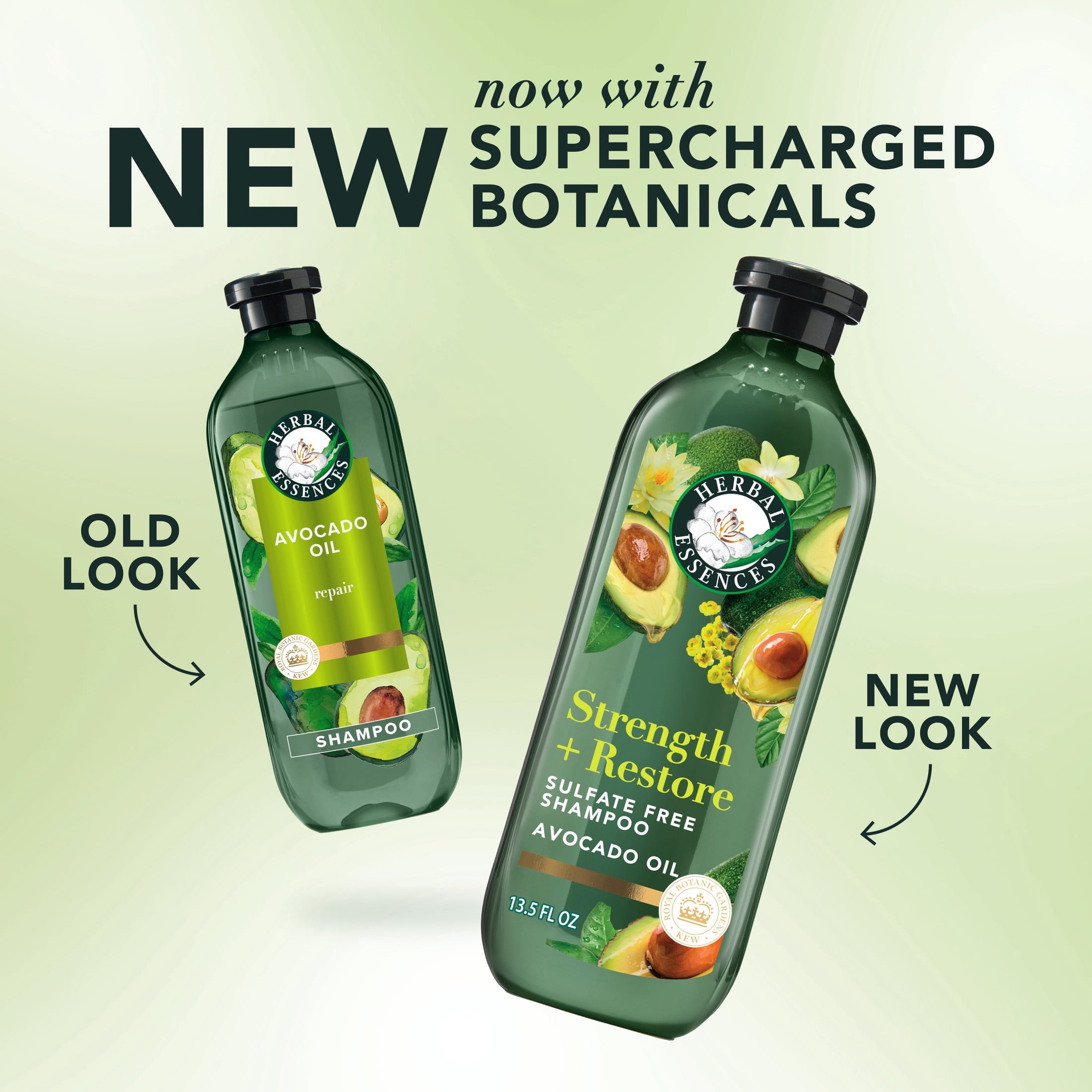 Strength + Restore Avocado Sulfate-Free Shampoo - 13.5 fl oz