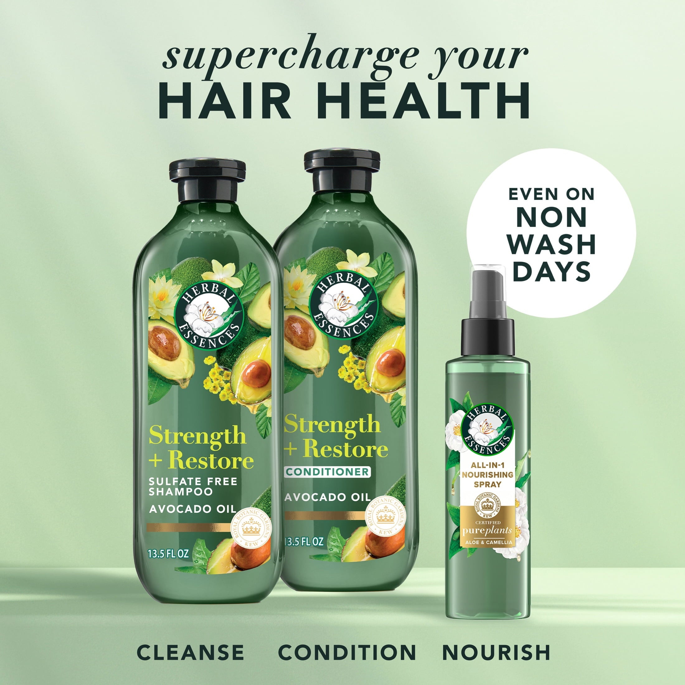 Strength + Restore Avocado Sulfate-Free Shampoo - 13.5 fl oz