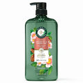 Argan Oil and Green Tea Sulfate-Free Shampoo (33.8 Fluid Ounce)