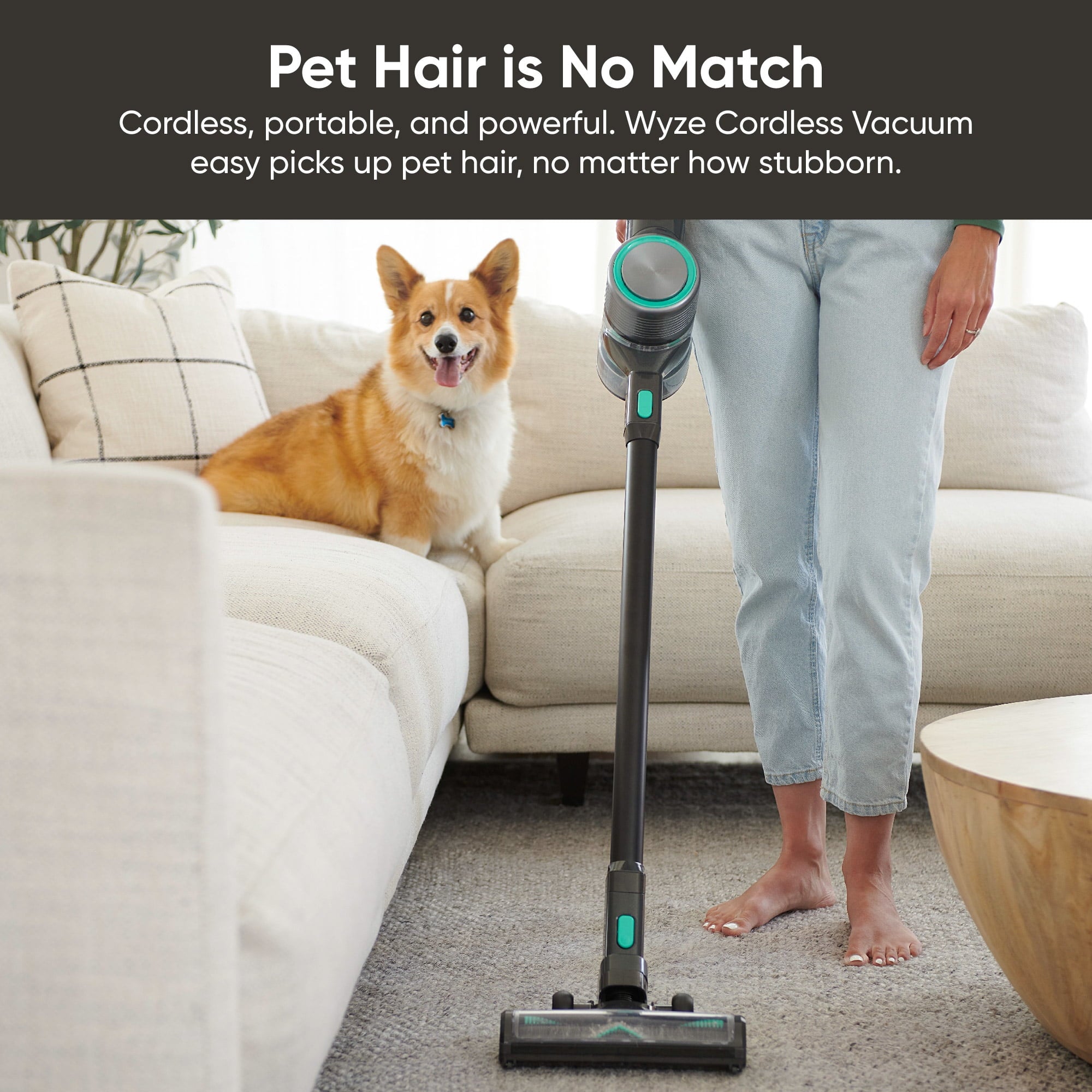 20kPa Cordless Stick Vacuum Cleaner — Lightweight for, Hard Floors &amp; Pet Hair