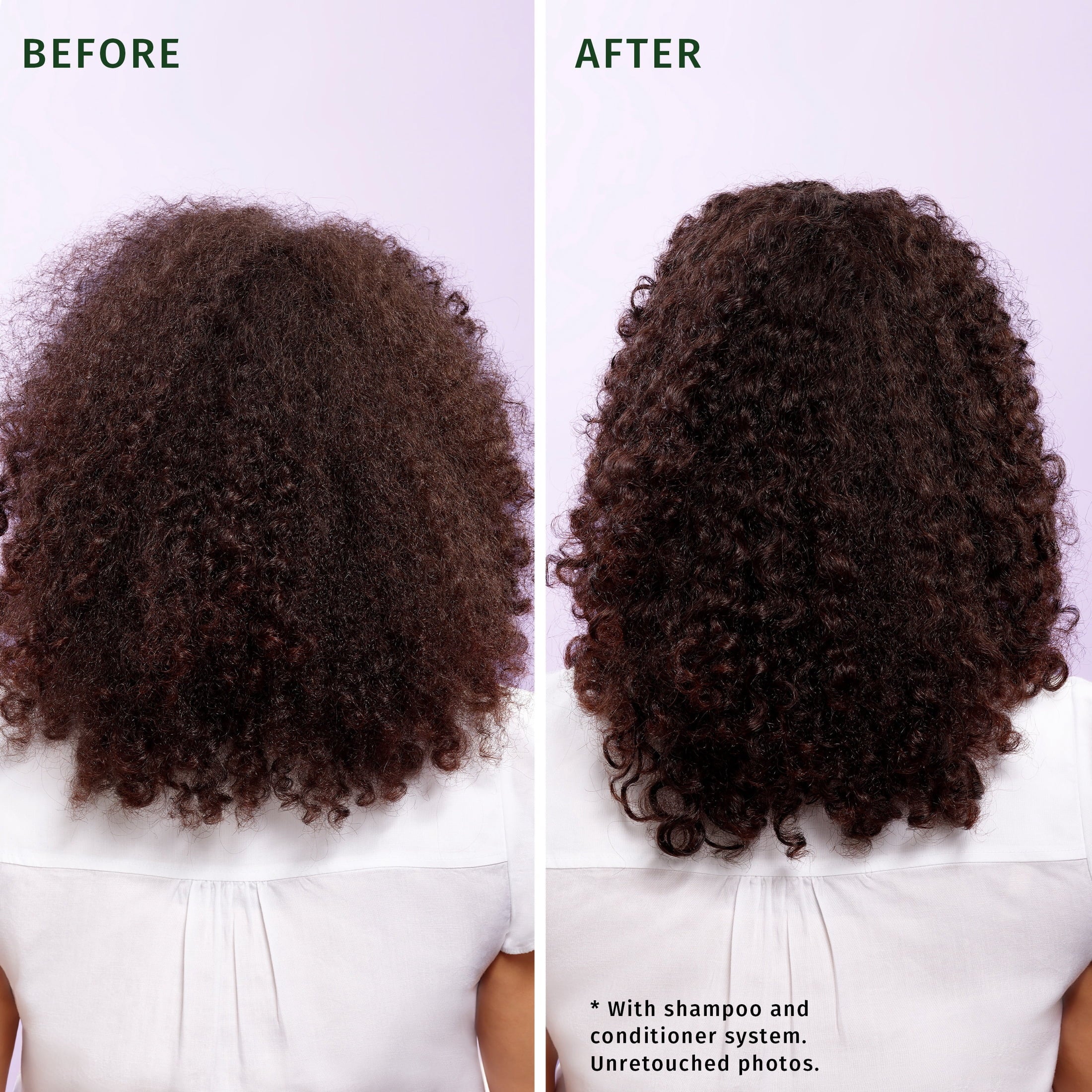 Jojoba Oil and Lavender Curls Shampoo, 33.8 fl oz