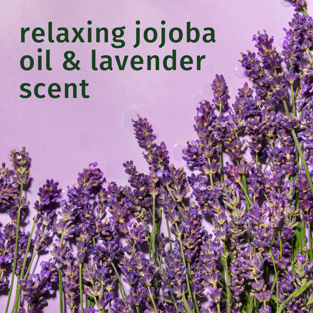 Jojoba Oil and Lavender Curls Shampoo, 33.8 fl oz