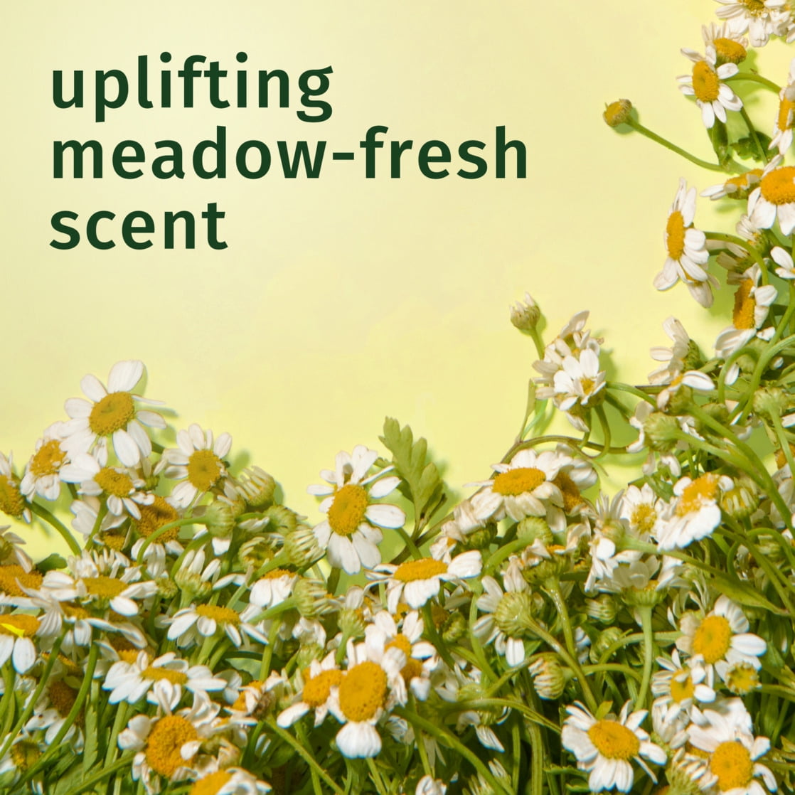 Chamomile Shine Conditioner, 13.5 fl oz