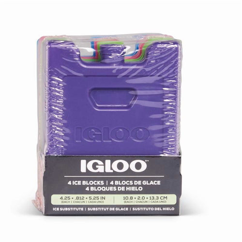 8090226 Ice Pack, Assorted Color - Pack of 4