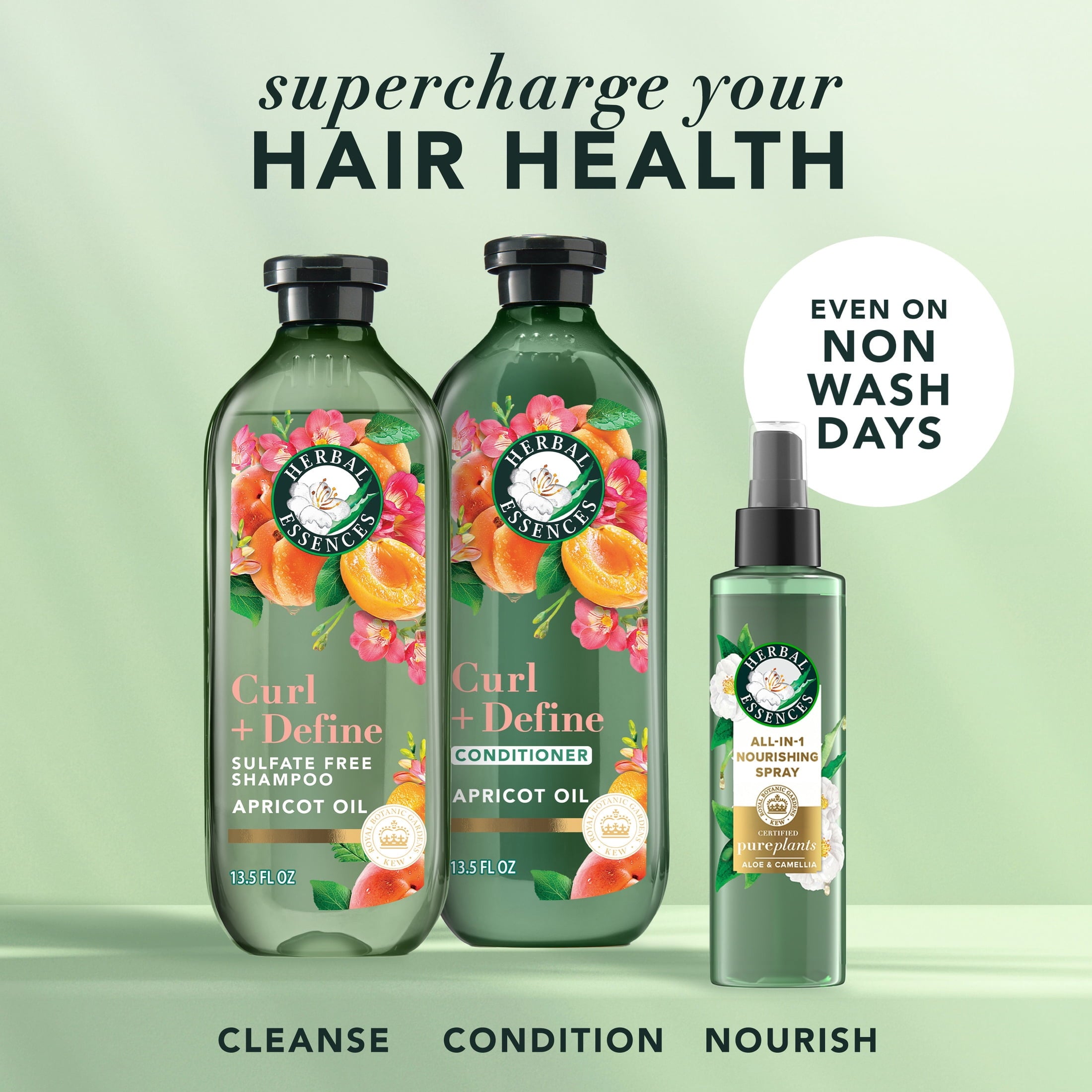 Curl + Define Apricot Sulfate-Free Conditioner, 13.5 fl oz