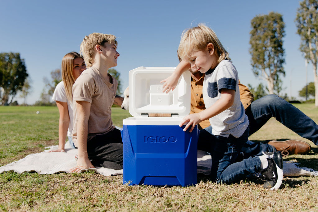 (2 pack) Igloo 16 QT Laguna Ice Chest Cooler with Wheels, Blue