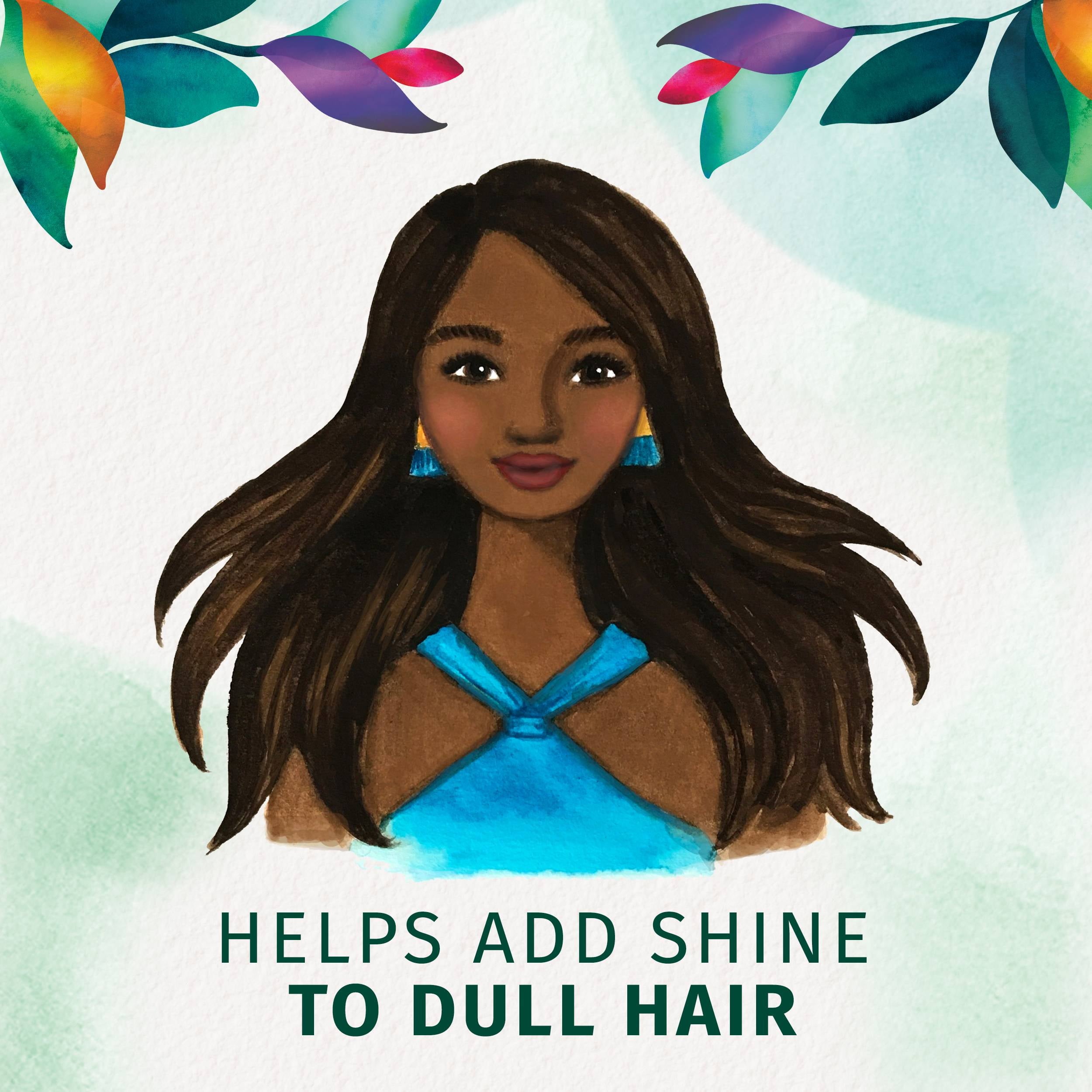 Shine Collection Shampoo, 13.5 fl oz