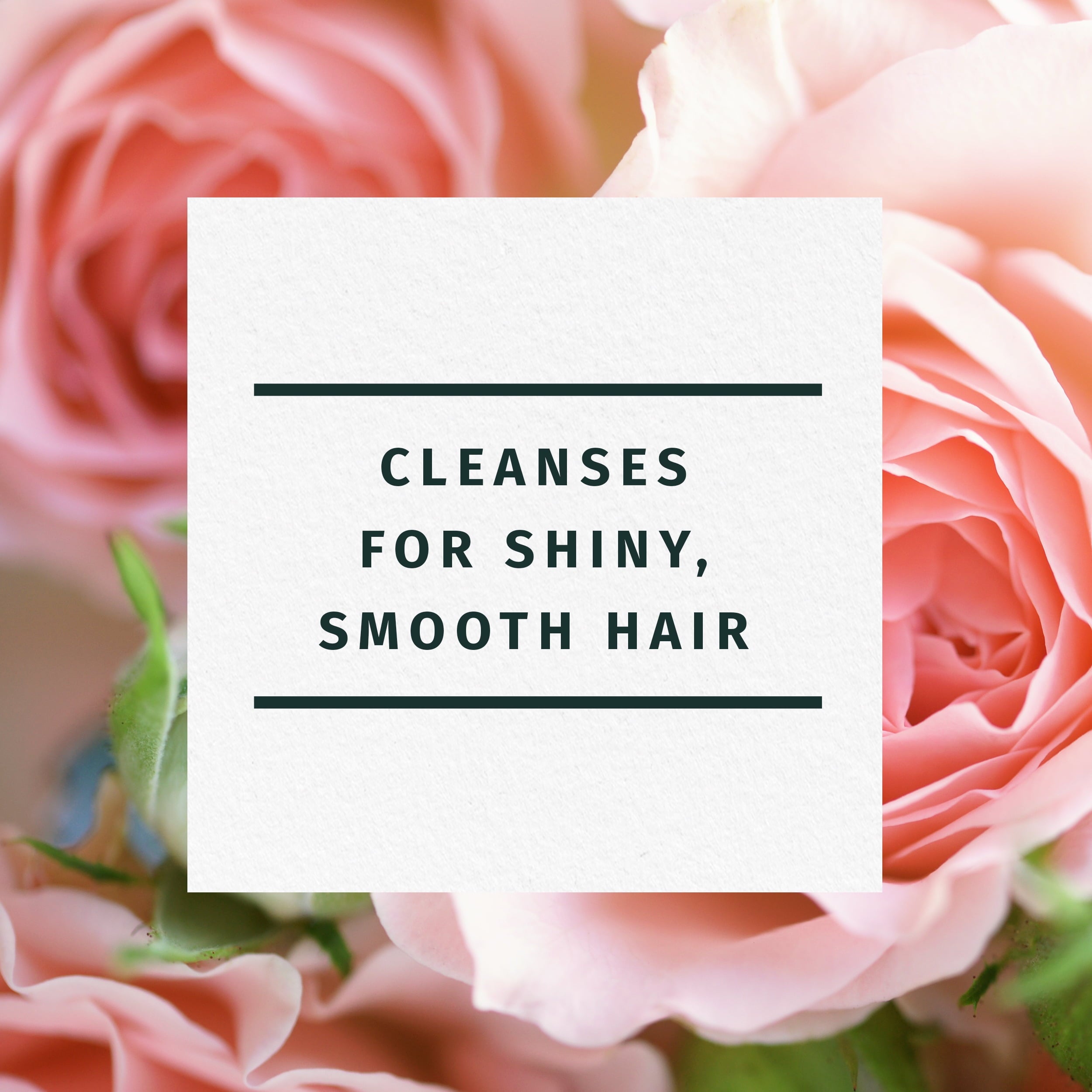 Rose Hips Smooth Shampoo, All Hair Types, 13.5 fl oz