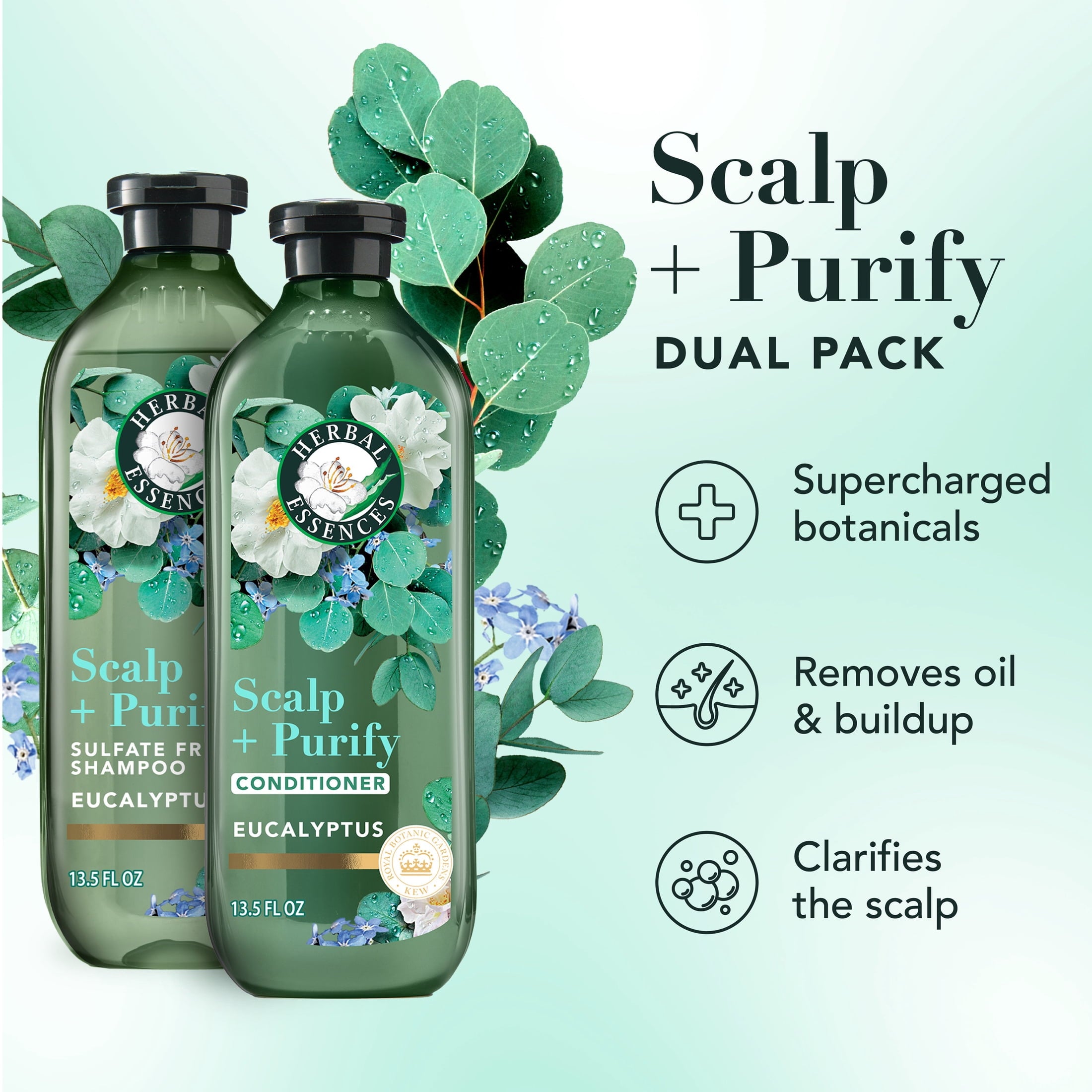 Scalp + Purify Eucalyptus Shampoo and Conditioner Dual Pack, 13.5 fl oz Each