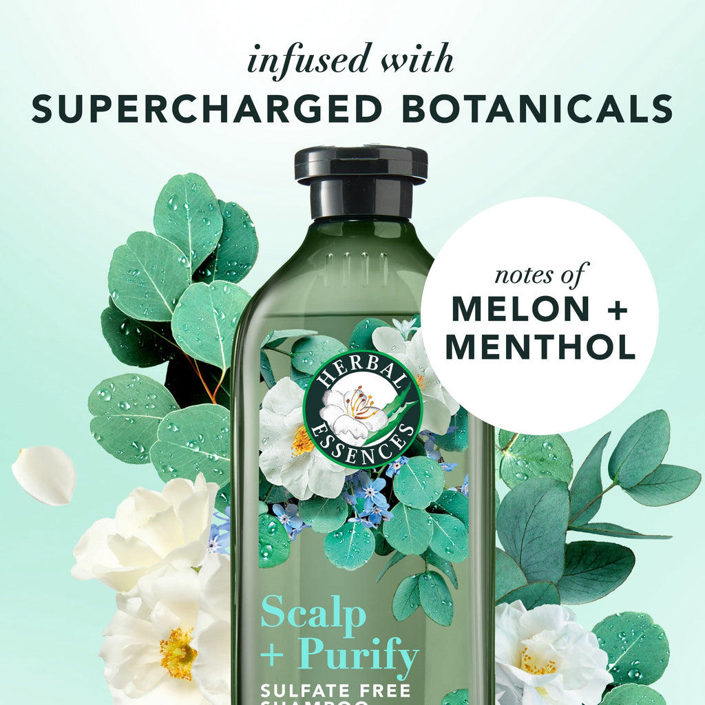 Scalp + Purify Eucalyptus Shampoo and Conditioner Dual Pack, 13.5 fl oz Each