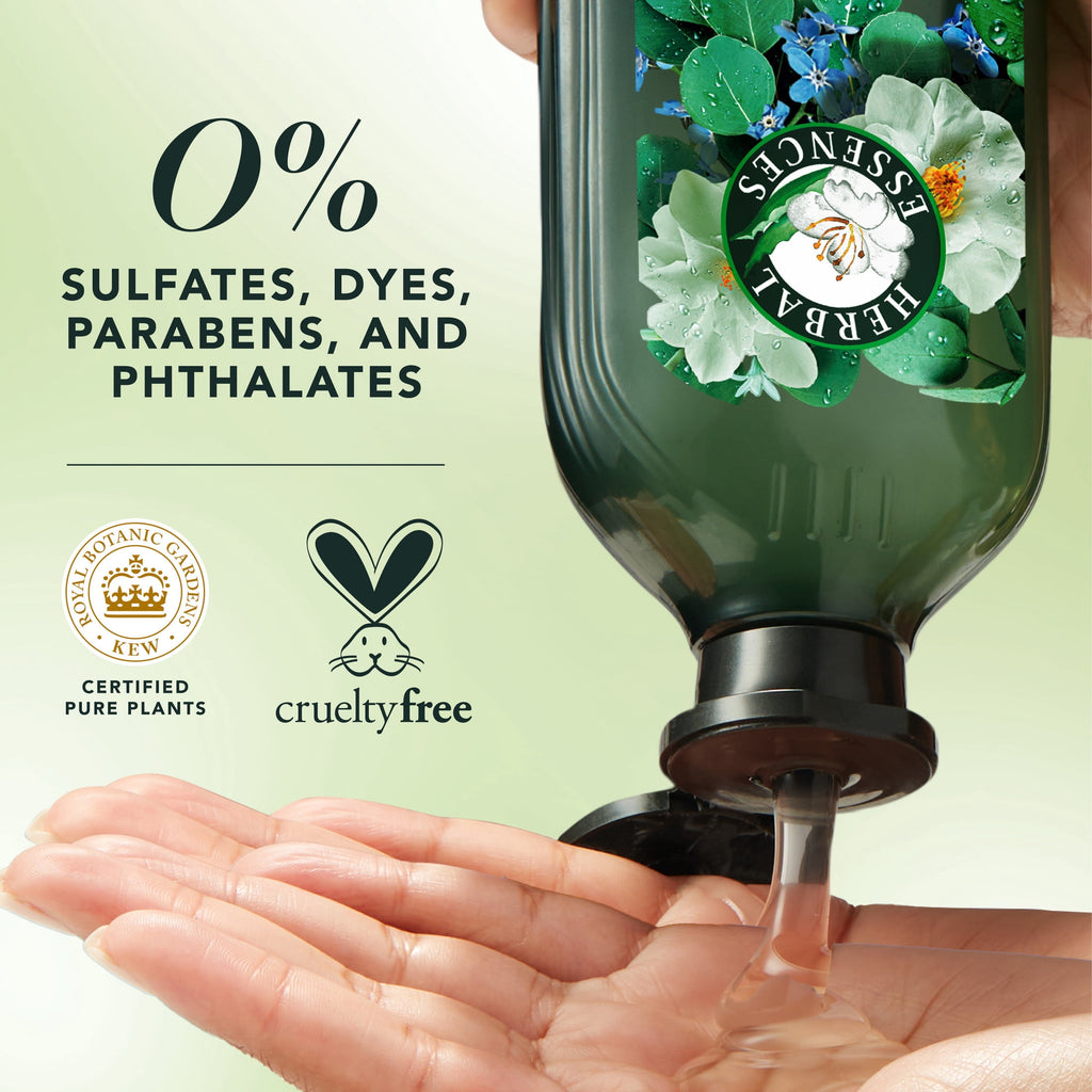 Scalp + Purify Eucalyptus Shampoo and Conditioner Dual Pack, 13.5 fl oz Each