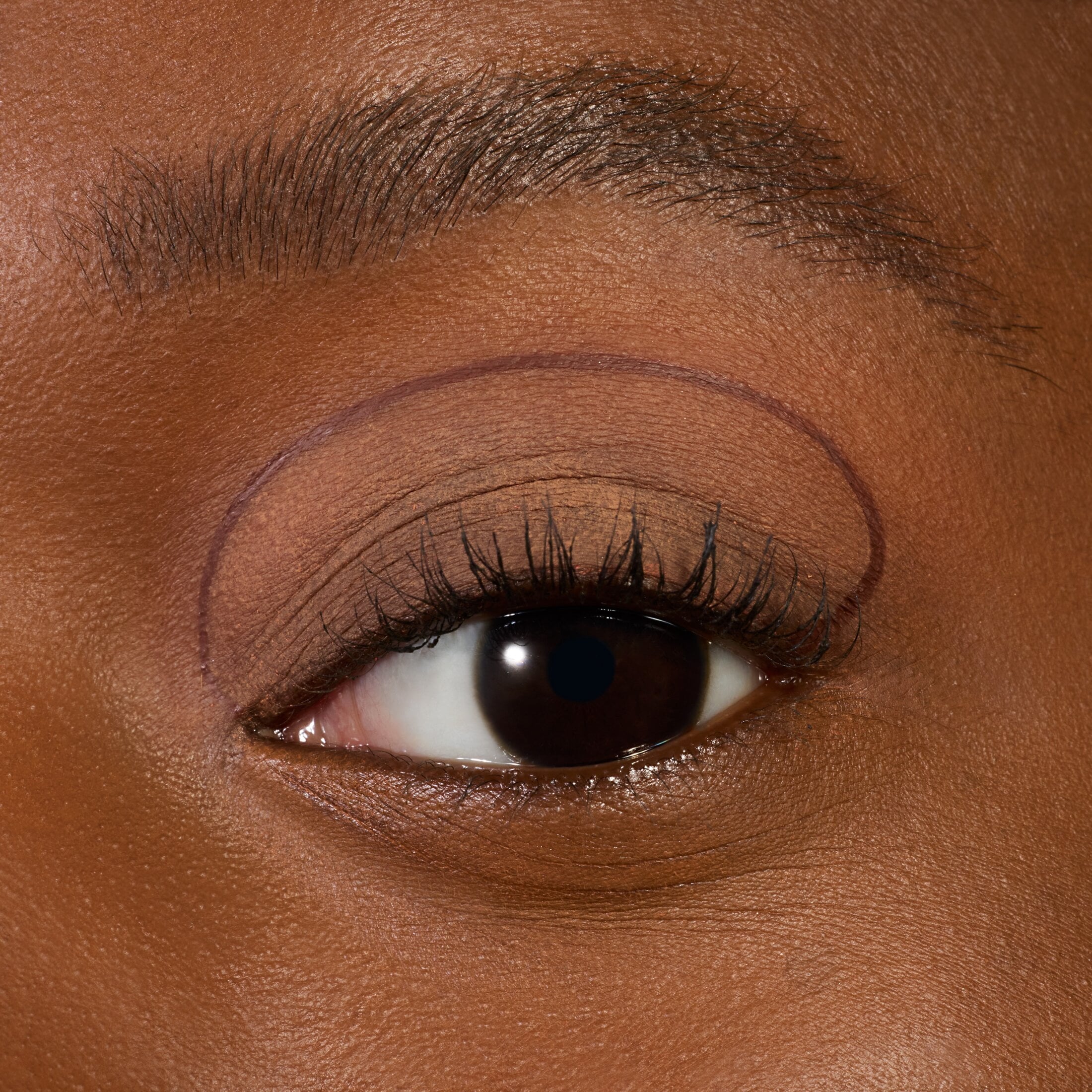 Lash Princess Liquid Eye Liner, Brush-Tip, Black Waterproof