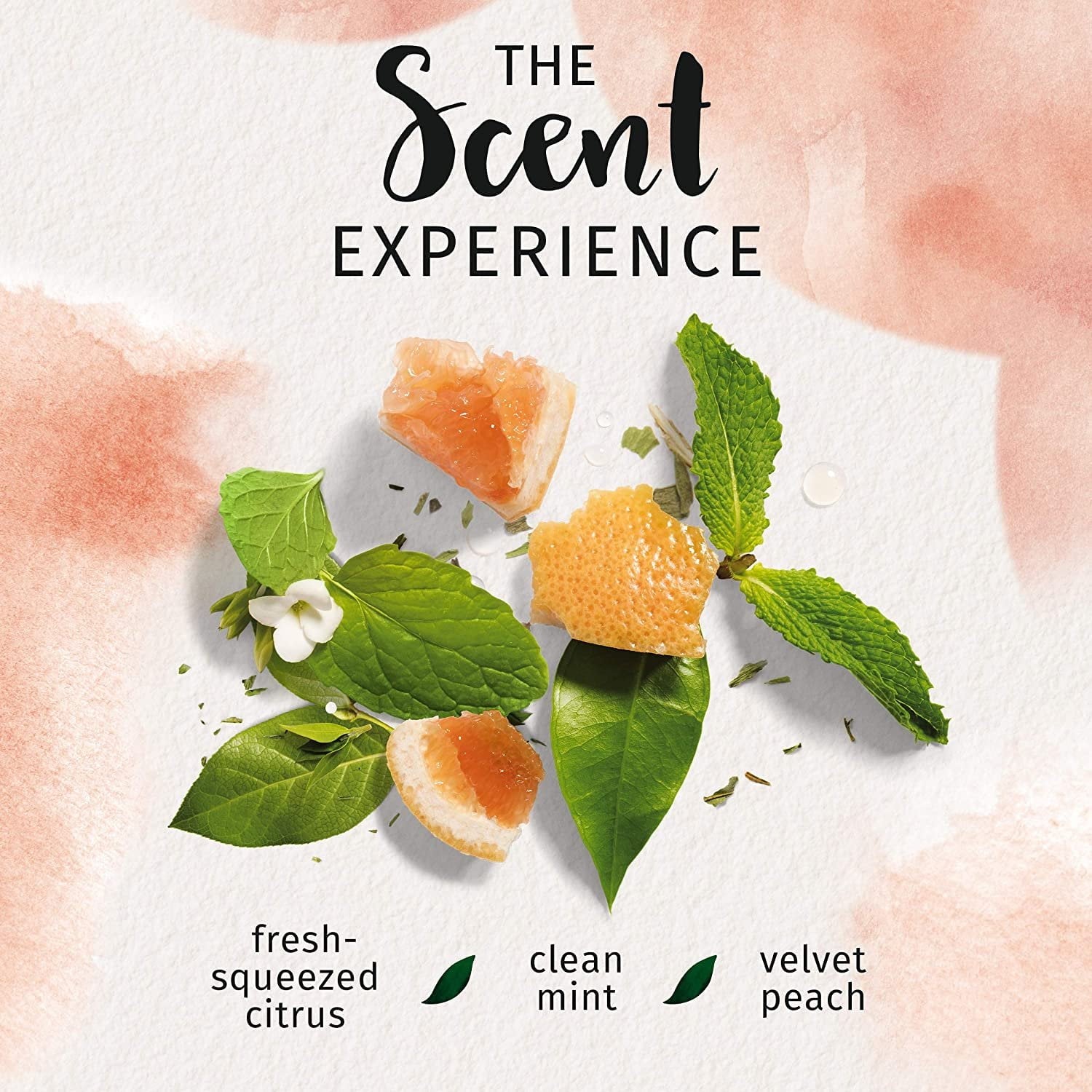 Conditioner 0%, White Grapefruit &amp; Mosa Mint, 13.5oz