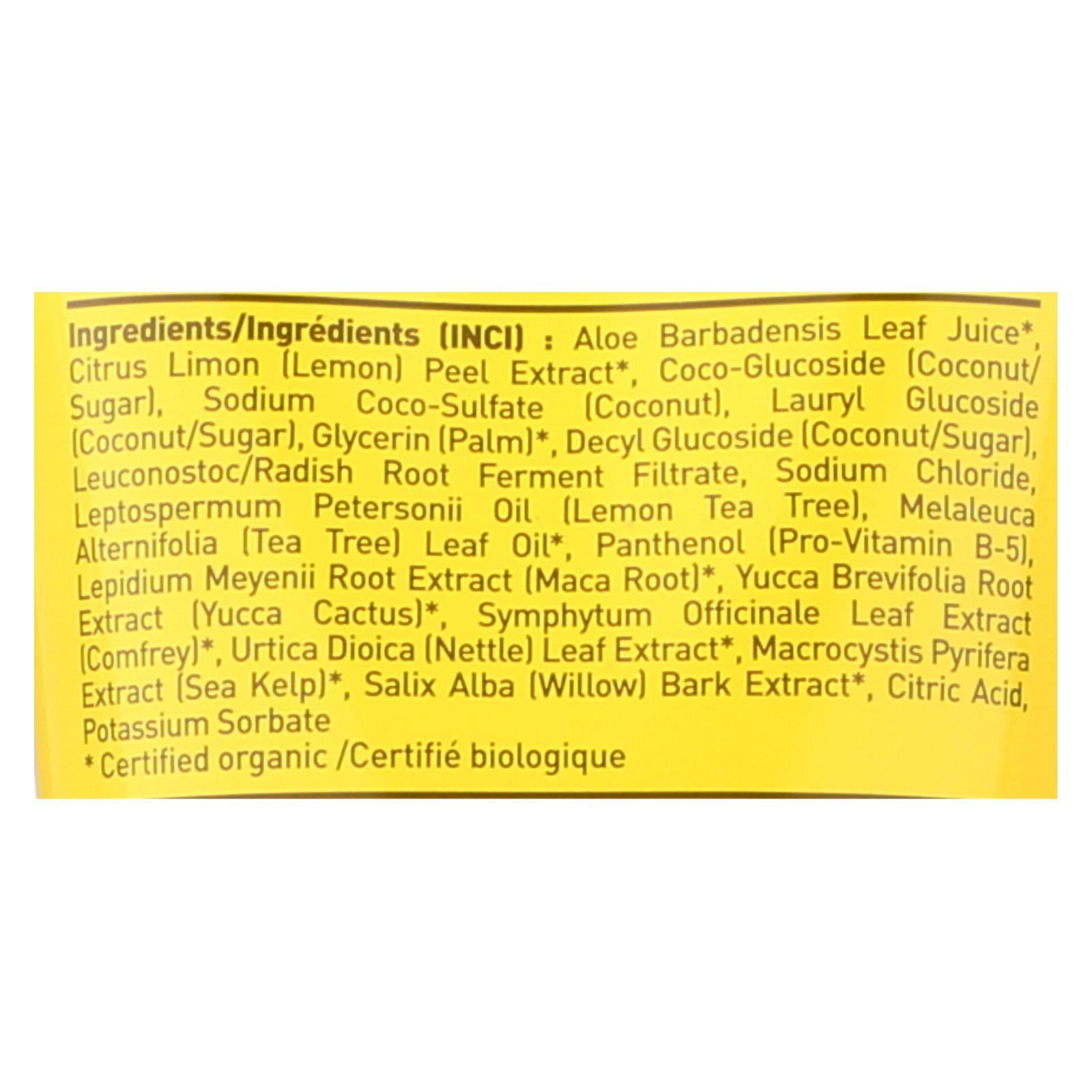 Organics, Shampoo, Lemon Tea Tree, 8 fl oz (237 ml)