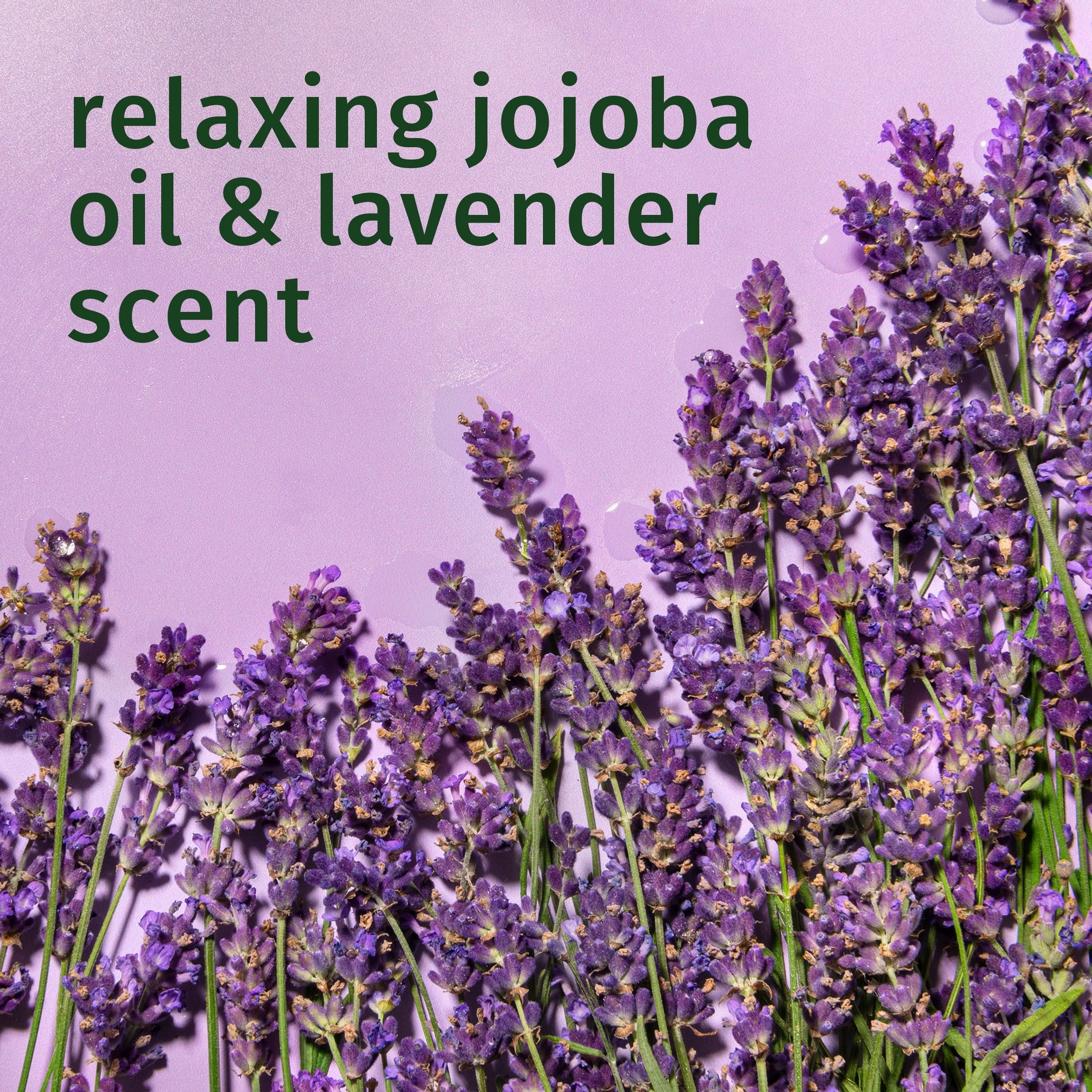 Jojoba Oil and Lavender Curls Conditioner, 33.8 fl oz