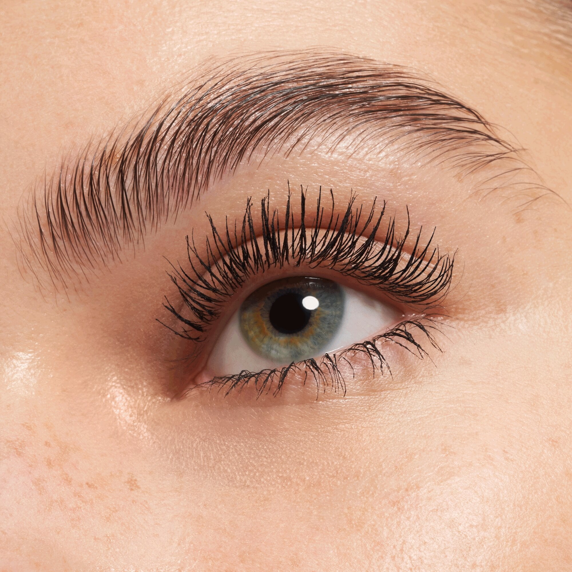 Lash Princess Curl &amp; Volume Mascara, Black