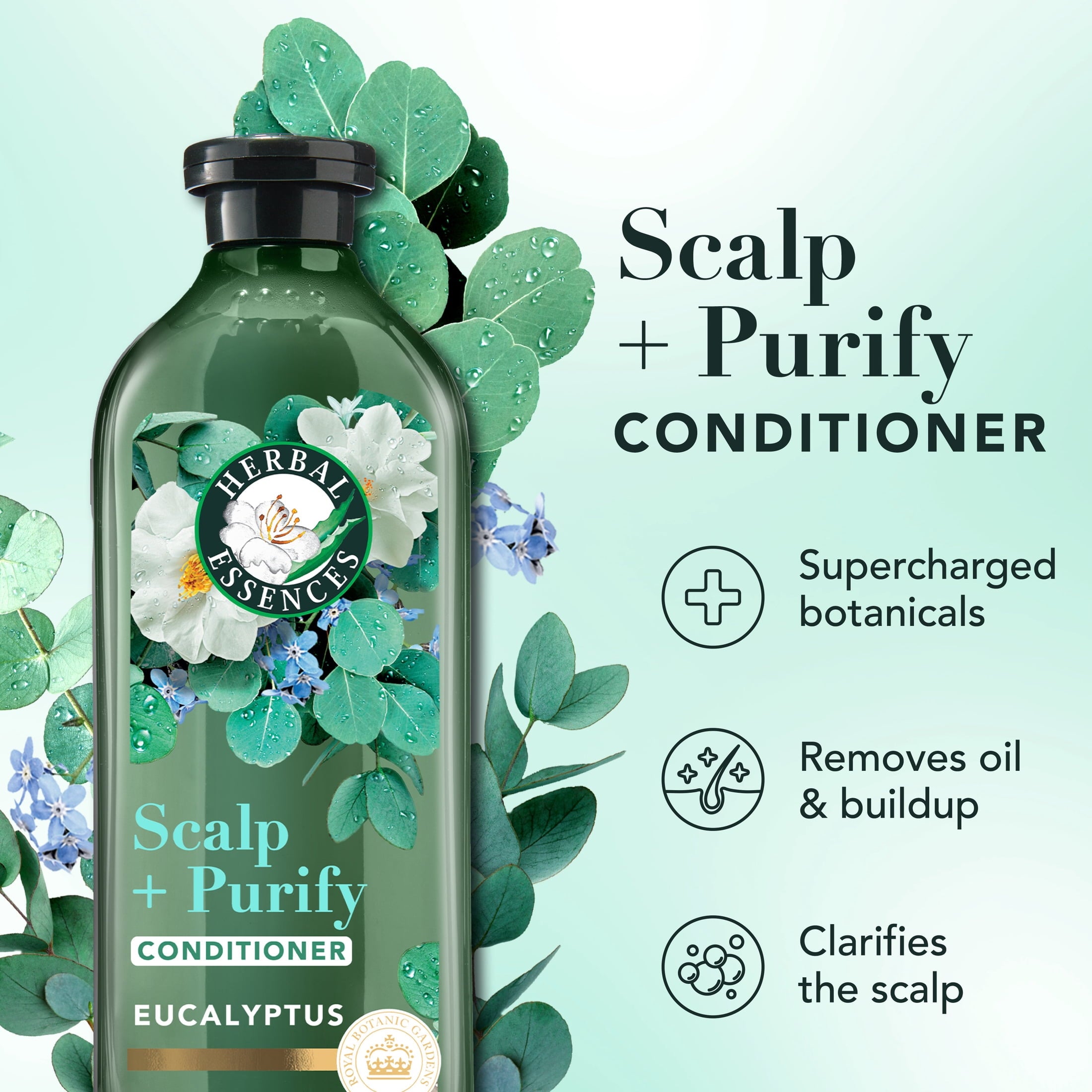 Scalp + Purify Eucalyptus Sulfate Free Conditioner - 13.5 fl oz